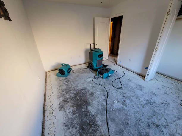  Vergennes, VT Water damage restoration Pros