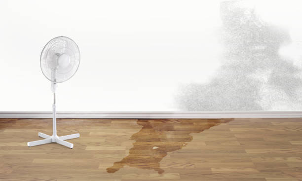 Best Fire Damage Restoration  in Vergennes, VT