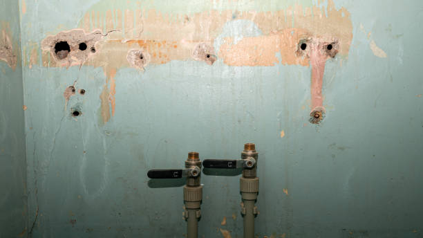 Best Water damage cleanup near me  in Vergennes, VT