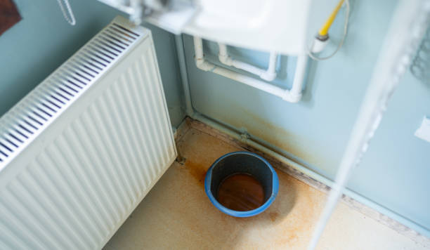 Best Basement water damage restoration  in Vergennes, VT