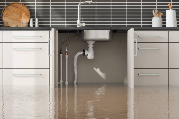 Best Local water damage restoration  in Vergennes, VT