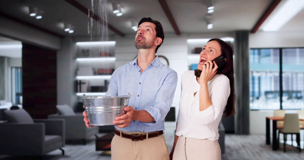 Best Professional water damage repair  in Vergennes, VT
