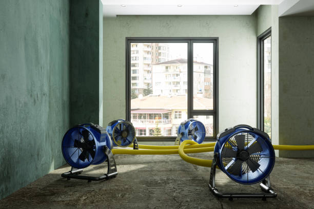 Best Commercial water damage restoration  in Vergennes, VT